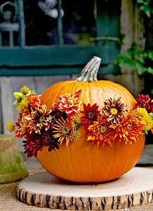Atelier Courge Fleurie Parent-Enfant(s) - Jeu. 23 Octobre (vacances scolaires) - 10:00-11:00